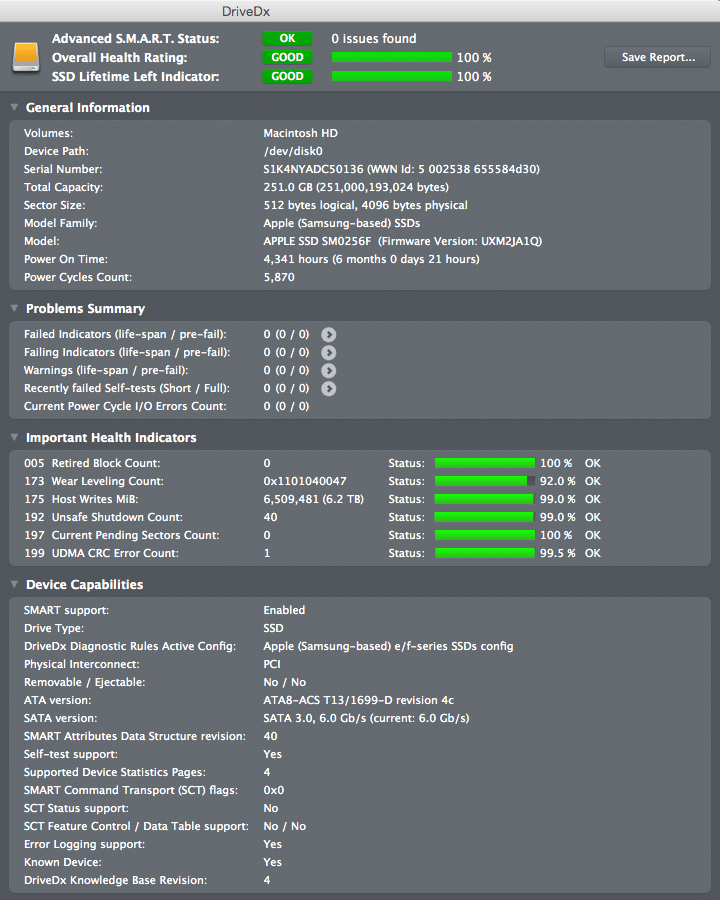 DriveDx APPLE SSD SM0256F